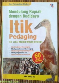 Image of Mendulang Rupiah dengan Budidaya Itik pedaging